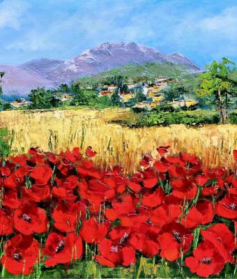 esplosione-di-rosso-papavero