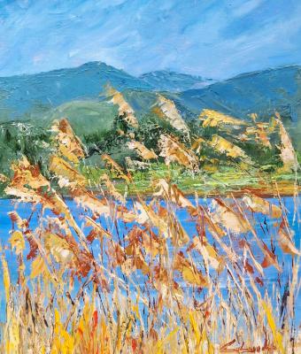 canne-al-vento-2