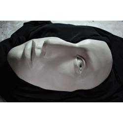 il-volto