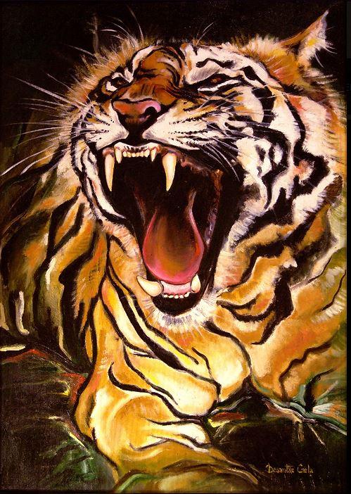 tigre