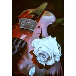 delicate-armonie