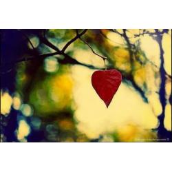 cuore-in-autunno