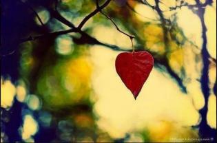 cuore-in-autunno