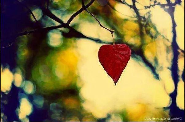 cuore-in-autunno