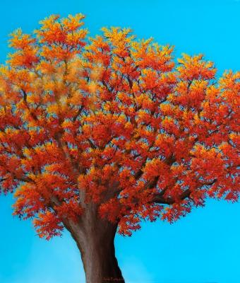 quercia-rossa
