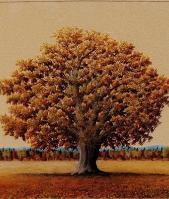 quercia