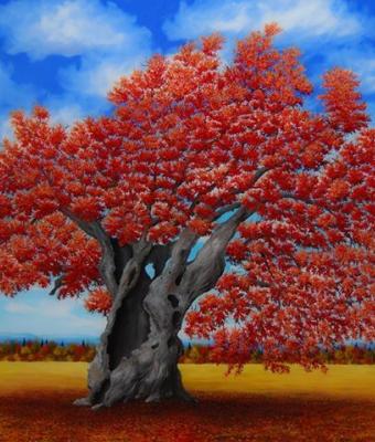 quercia-rossa