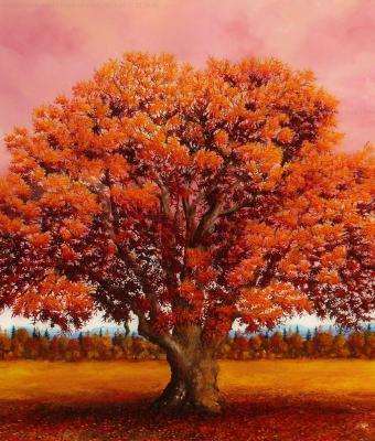 quercia-rossa