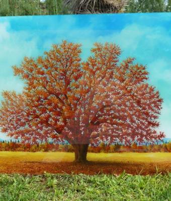 quercia-rossa