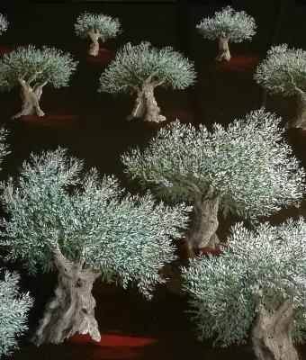 oled-olive-tree