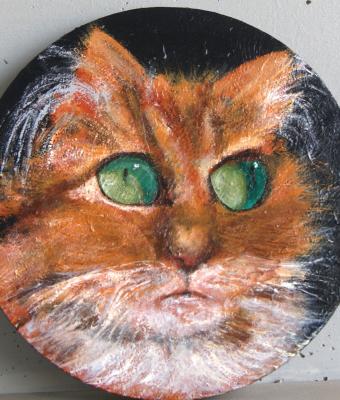 archimede-il-gatto-pi-bello