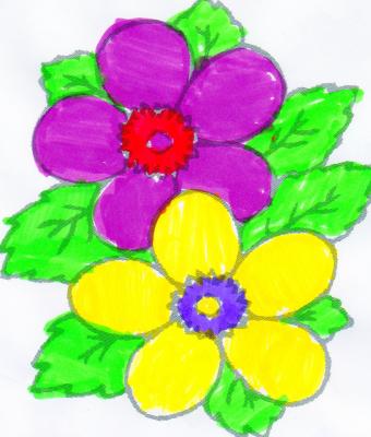 fiori