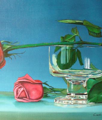 due-rose