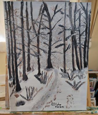 bosco-di-inverno