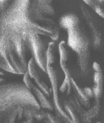 dentro-la-carne