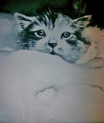 gatto-monocromatico-olio-su-te