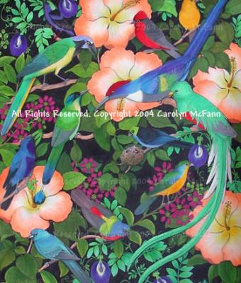 central-american-birds