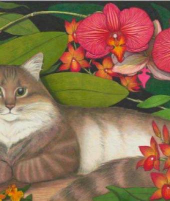 maine-coon-cat-with-orchids