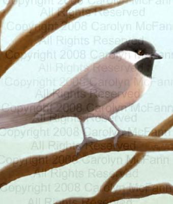 wild-bird-in-winter
