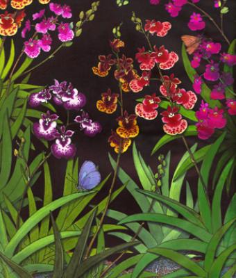 equitant-oncidium-orchids