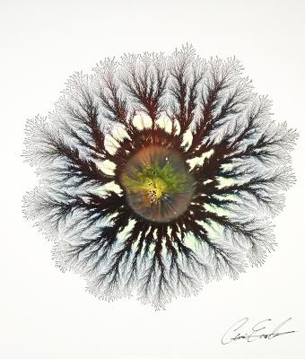 phantom-explosion