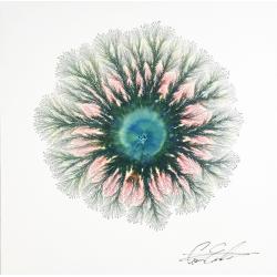 explosive-reflections