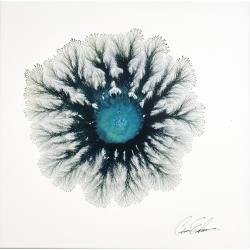 the-blue-oceans
