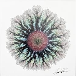the-center-of-the-soul