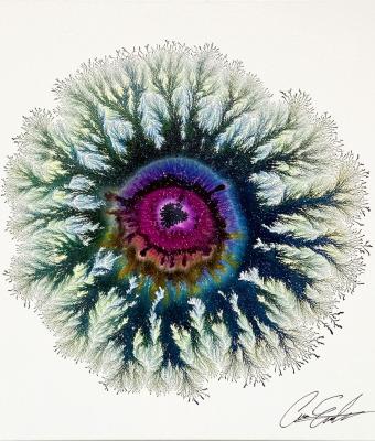 the-eye-of-nature