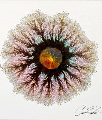 the-abstract-unconscious
