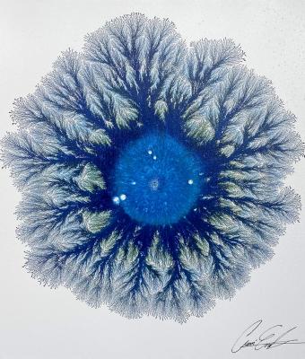 blue-rhapsody