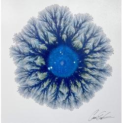 blue-rhapsody