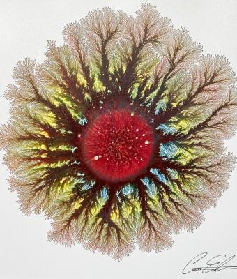 covid-19-corona-virus