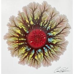 covid-19-corona-virus