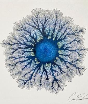 flying-in-the-blue-painted-blu