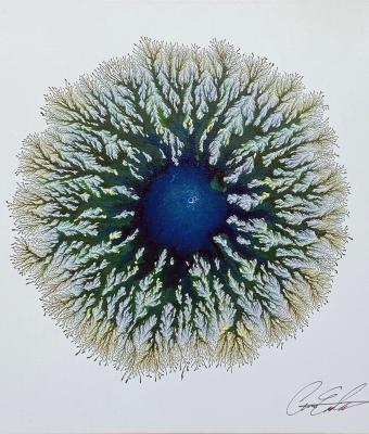 the-nature-of-the-soul