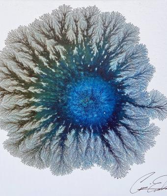 flora-and-fauna