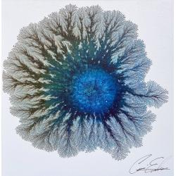 flora-and-fauna