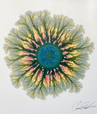 the-colors-of-the-soul