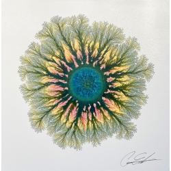 the-colors-of-the-soul