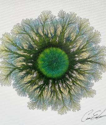 the-soul-of-the-earth