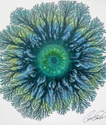 the-eye-of-nature