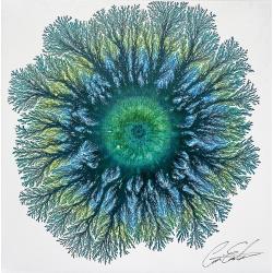 the-eye-of-nature
