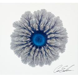 sensory-atmosphere