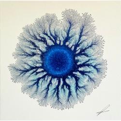 universe