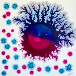 covid19-mutations