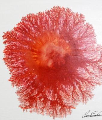 explosion-7