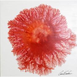 explosion-7