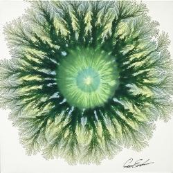 explosion-of-nature