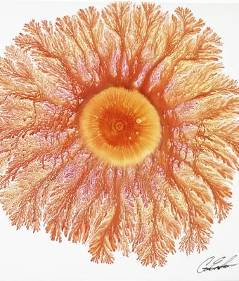 explosion-in-red